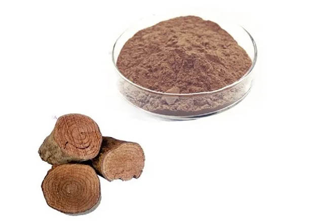 salacia_extract